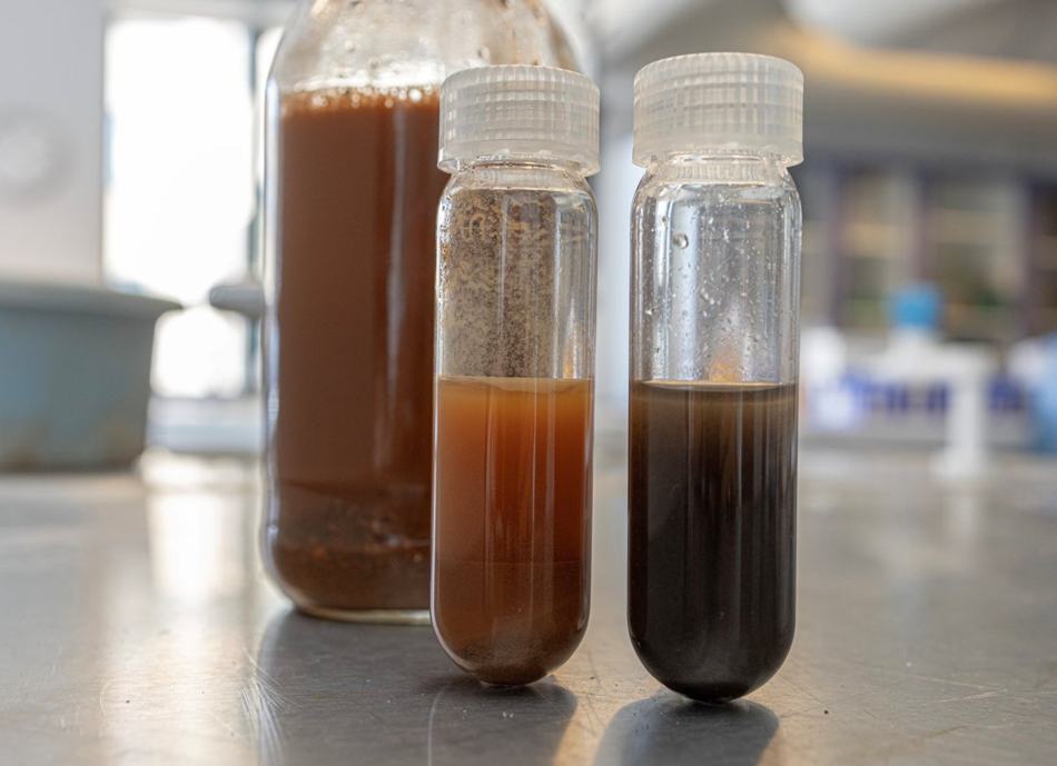 Sludge and recovered arsenic suspensions