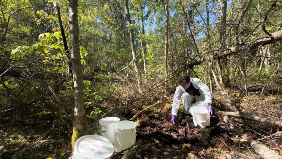 Soil sampling at Collstrop from the WATEC presentation
